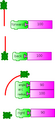 Basic turtle graphics: 'forward', 'back', 'arc', and 'right' blocks